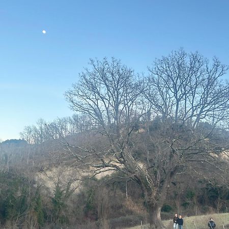 Agriturismo Val Di Tufo Montalcino Zewnętrze zdjęcie